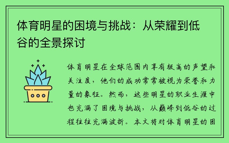 体育明星的困境与挑战：从荣耀到低谷的全景探讨